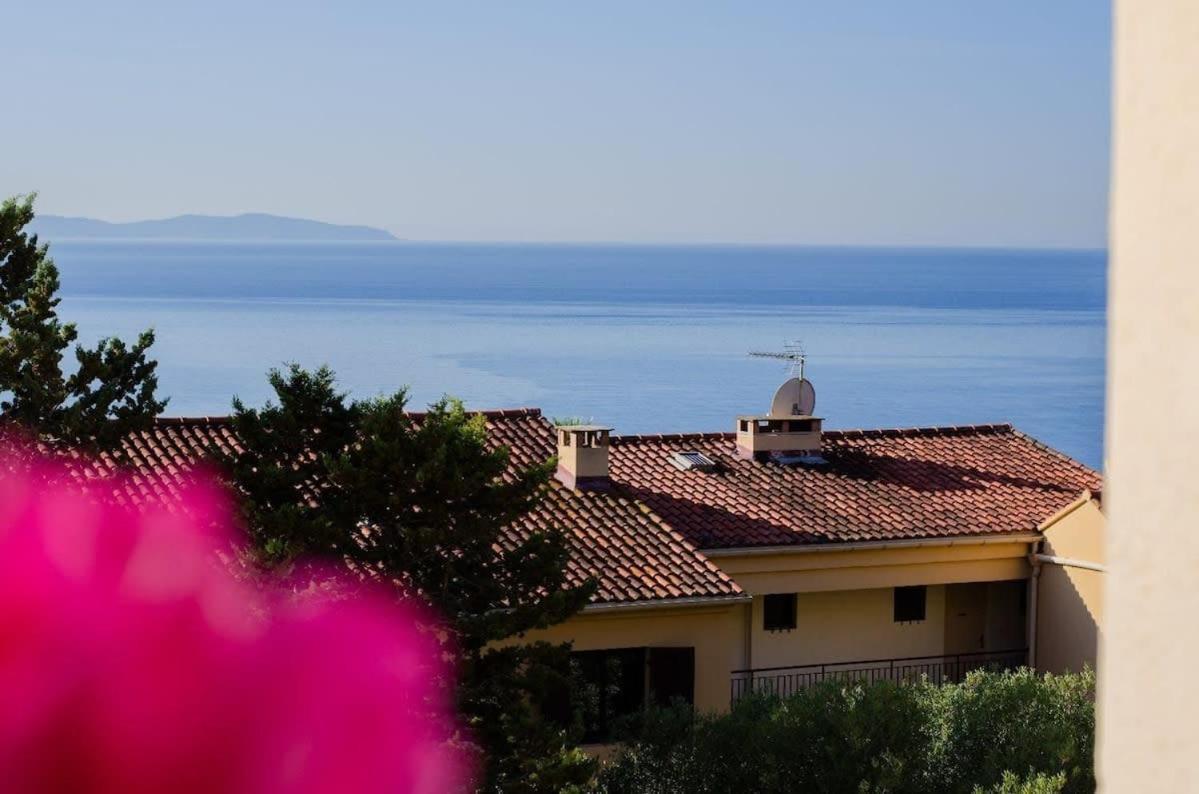 Magnifique Vue - Proche - Parking & Ac * Ajaccio (Corsica)